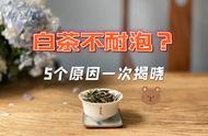 白茶泡不持久的五大原因，你中招了吗？