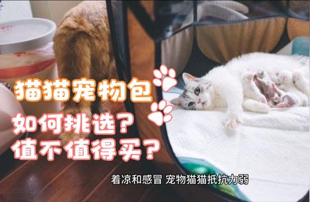 猫猫出行必备：如何选择最优质的宠物包？