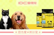 宠物天地：小型犬的常见品种