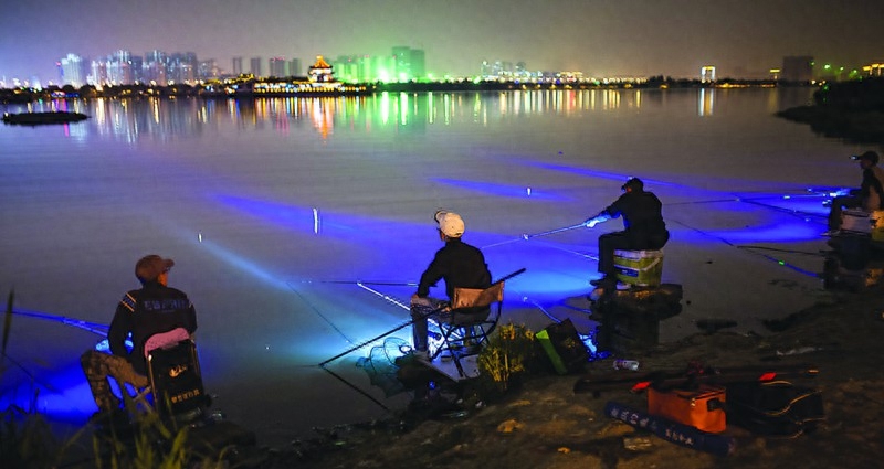 夜钓灯选择什么颜色的好，记住这几点就行