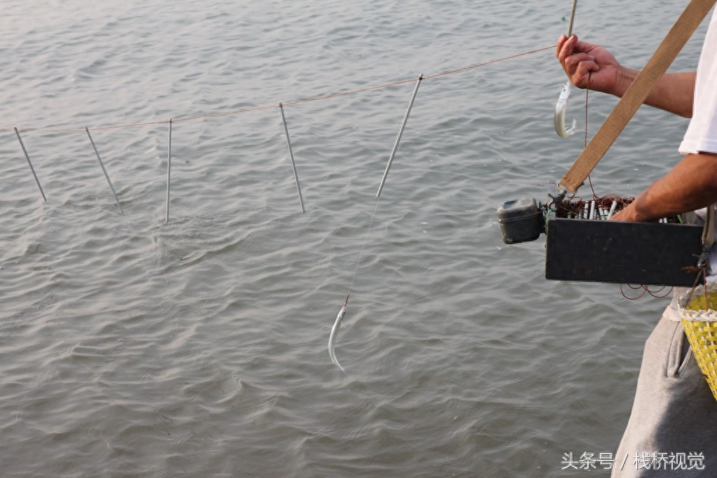 青岛64岁老人自制钓鱼神器，小帆船牵引借风放长线绑筷子钓针量鱼